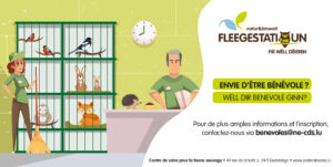Visuelle_site web_recherche_bénévoles_170x85,7mm