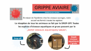 Fermeture Drop Off Grippe aviaire 24.10.2025